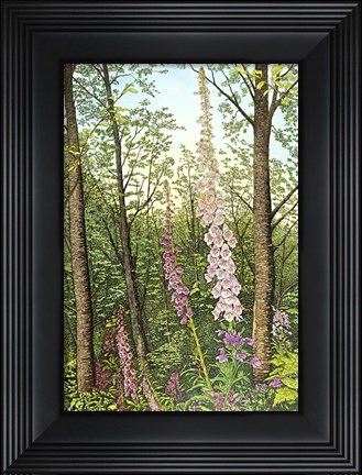 Framed Foxglove I Print