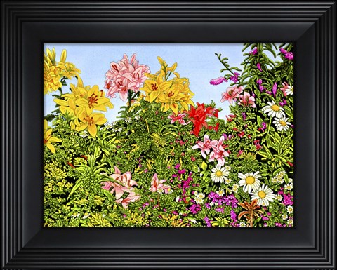 Framed Lovely Lillies Print