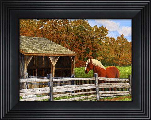 Framed Old Horse Shed, Mumford Ny Print