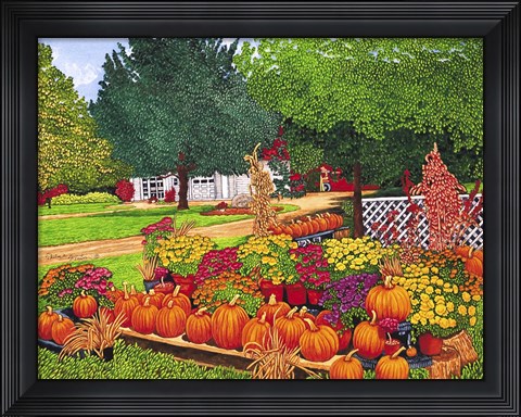 Framed Pumpkins In Patchin, Ny Print