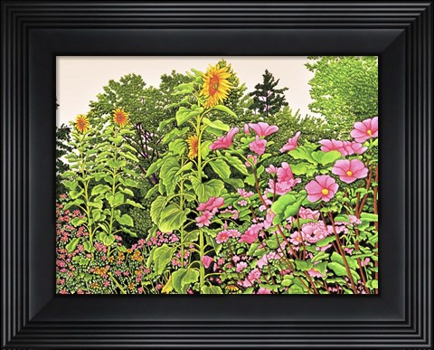 Framed Sunflower Quartet Print