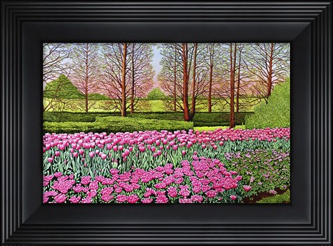 Framed Tulips At Longwood Gardens I, Kennett Square Pa Print