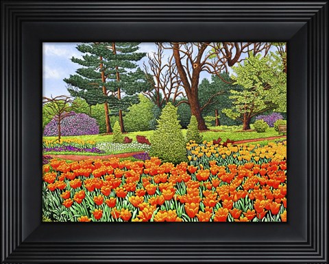 Framed Tulips At Longwood Gardens II, Kennett Square Pa Print