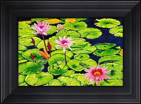 Framed Water Lilies II Print