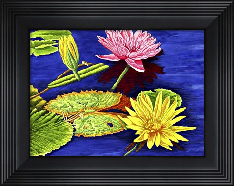 Framed Water Lilies III Print
