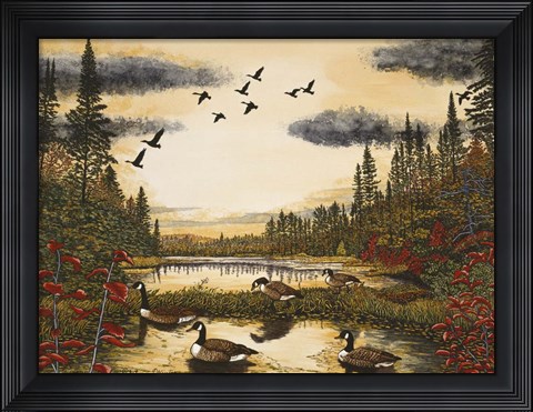 Framed Canada Geese Print