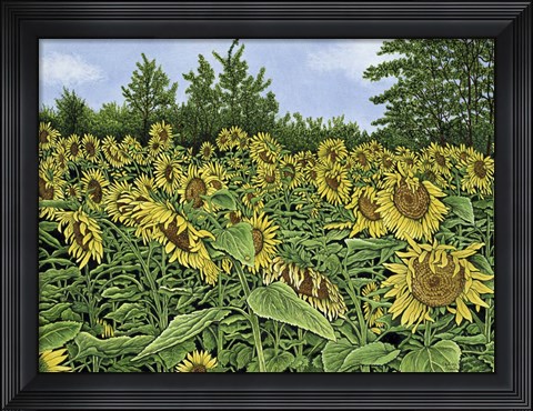 Framed Sunflowers Print