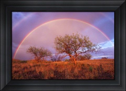 Framed Arizona Rainbow Print