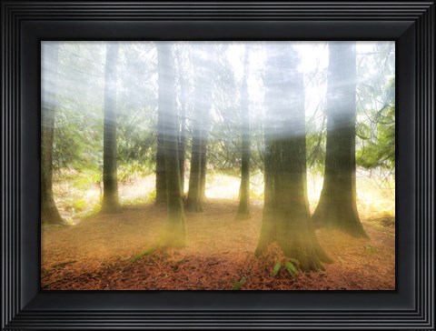Framed Blurred Trees Print