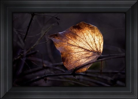 Framed Bright Leaf Print
