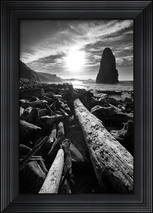 Framed Driftwood Sun 1 Silver Print