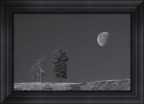 Framed Moon Trees Hill Print