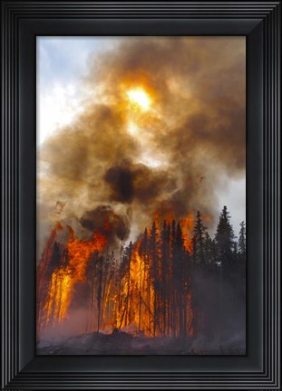 Framed Torching Print