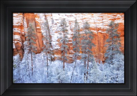 Framed Ponderosa Sandstone Print