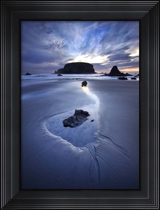 Framed Reflection Whale Head Print