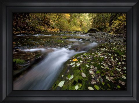 Framed Rushing Best Print