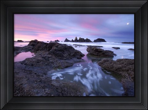 Framed Seal Rock Colors Print