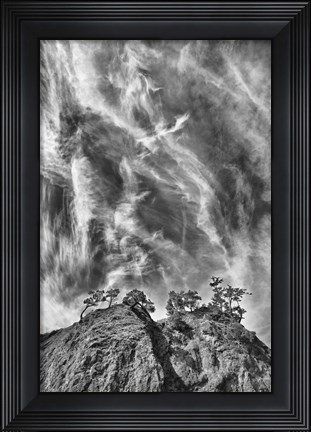 Framed Tree Island Clouds Pushed Print