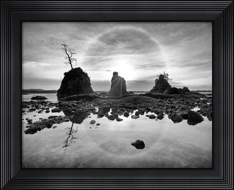 Framed Tree Island Print
