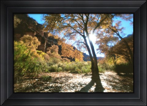 Framed Trembling Print