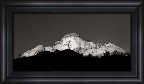 Framed Zion Tree Silhouette Print