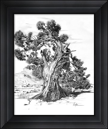 Framed Treesc Print