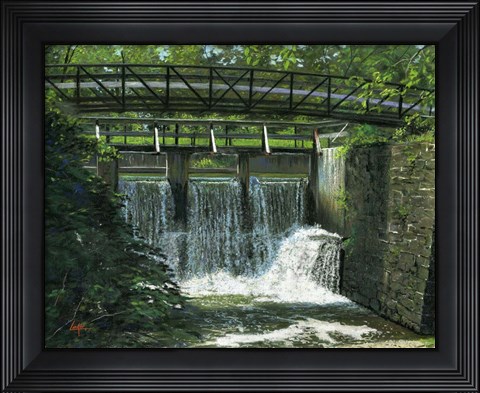Framed Overflow Gate Print