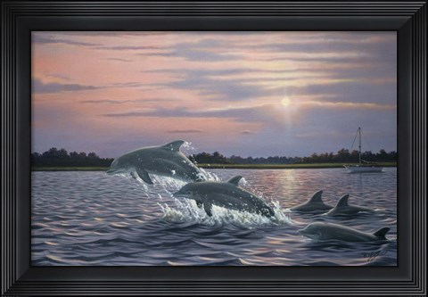 Framed Dolphins Print