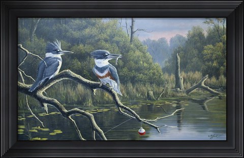 Framed Fisherman's Luck, Belted Kingfishers Print