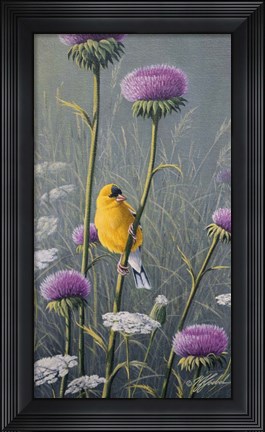 Framed Goldfinch Print