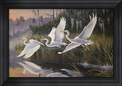 Framed Morning Departure Egrets Print