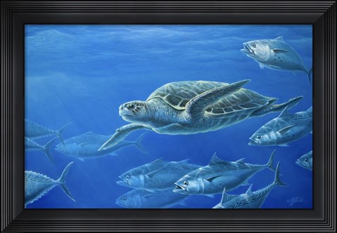 Framed Sea Turtle Print