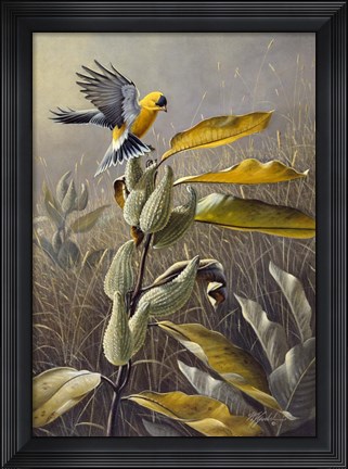 Framed Meadow Gold Print