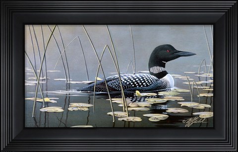 Framed Loon In Reeds Print