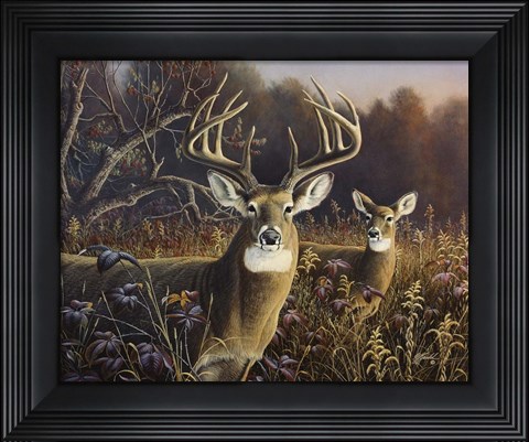 Framed Deer Print