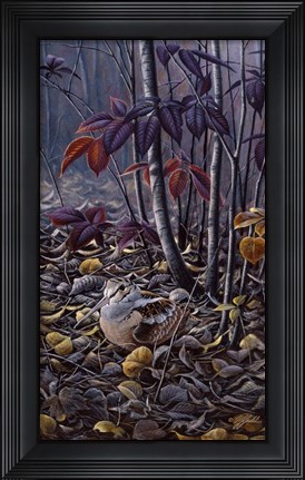 Framed Autumn Colors- Woodcock Print