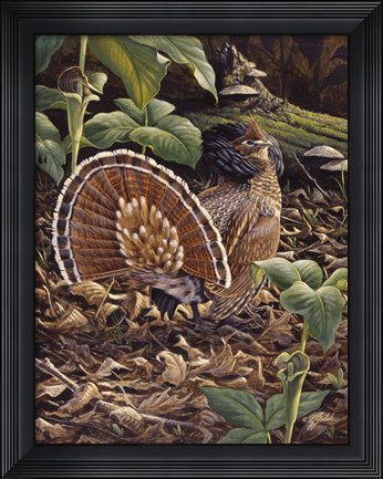 Framed May Display - Ruffed Grouse Print