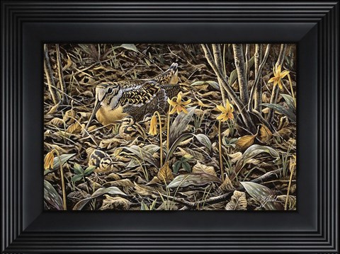 Framed Early Brood - Woodcock Young Print
