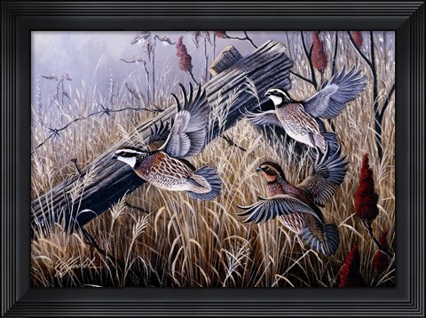Framed Corner Post Covey - Bobwhite Print
