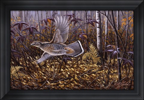 Framed Silver Streak - Ruffed Grouse Print