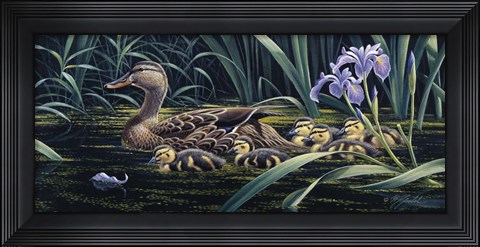 Framed Mother&#39;s Day - Mallard Print