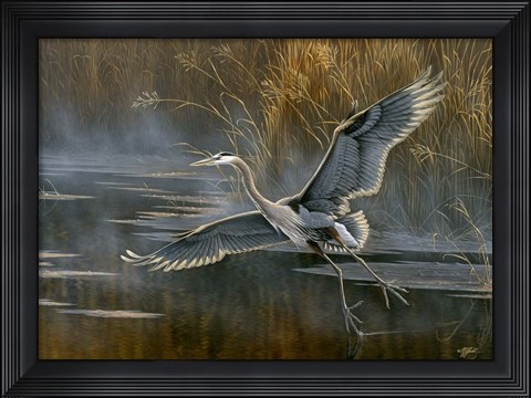 Framed Misty Flight Print