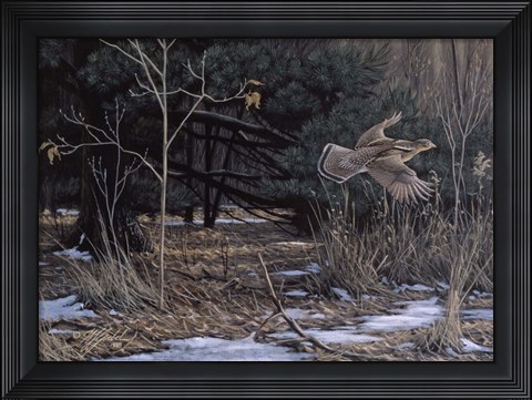 Framed Grouse On The Wing Print