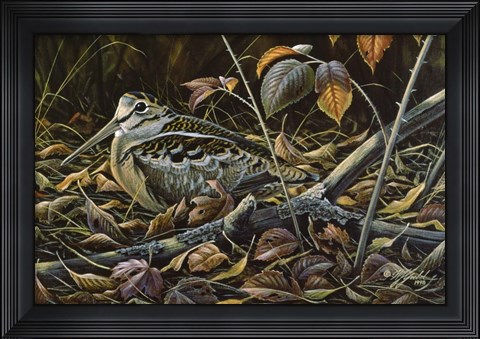 Framed Migration Stop  - Woodcock Print