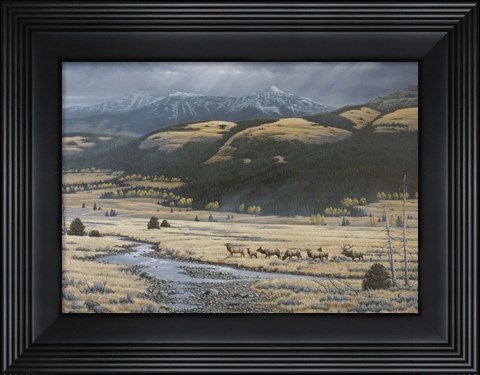 Framed Big Valley Elk Print