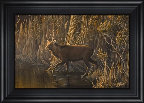 Framed Evening Rounds Sika Deer Print
