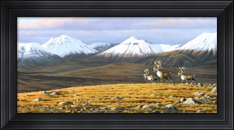 Framed Time Passages Mountain Caribou Print