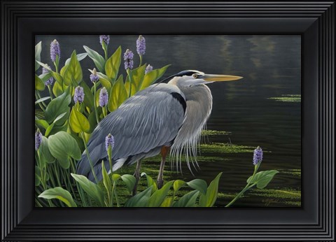 Framed Biding Time Great Blue Heron Print