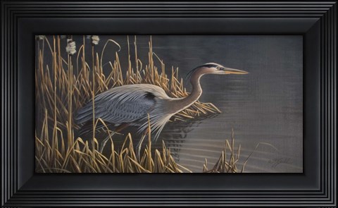Framed Stalking The Edge - Heron Print