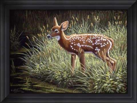 Framed In The Tall Grass Print
